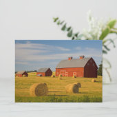 Betriebe | Red Barns Near Hay Bales Dankeskarte (Stehend Vorderseite)