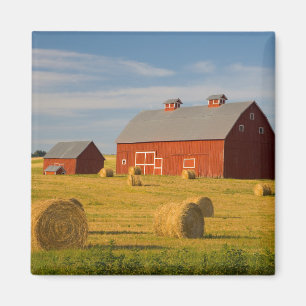 Betriebe   Red Barns Near Hay Bales Magnet