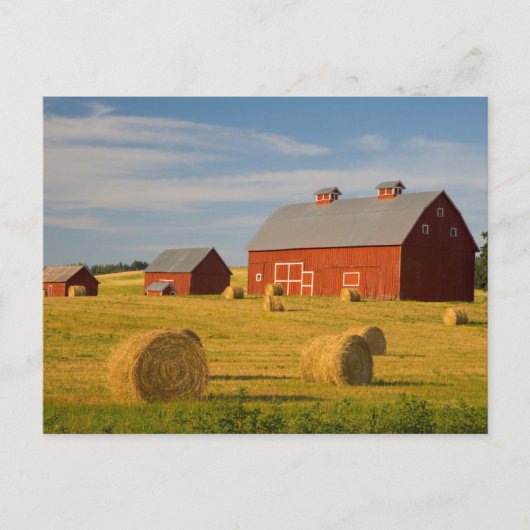 Betriebe | Red Barns Near Hay Bales Postkarte (Vorderseite)