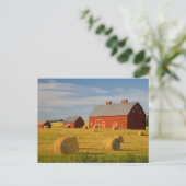 Betriebe | Red Barns Near Hay Bales Postkarte (Stehend Vorderseite)