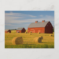Betriebe | Red Barns Near Hay Bales