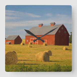 Betriebe   Red Barns Near Hay Bales Quadratische Wanduhr