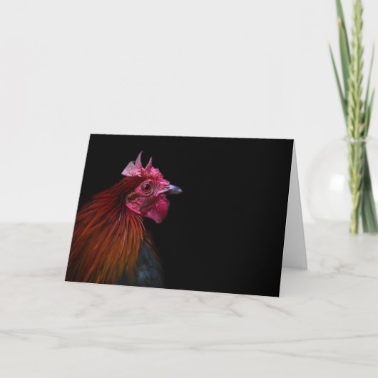 Betriebe | Rooster Head Shoot Karte (Vorderseite)