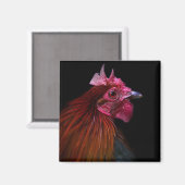 Betriebe | Rooster Head Shoot Magnet (Vorderseite/Rückseite)