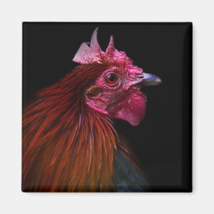 Betriebe   Rooster Head Shoot Magnet