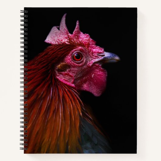 Betriebe | Rooster Head Shoot Notizblock (Vorderseite)