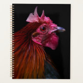 Betriebe | Rooster Head Shoot Planer (Vorderseite)