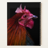 Betriebe | Rooster Head Shoot Planer (Rückseite)