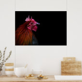Betriebe | Rooster Head Shoot Poster (Küche)