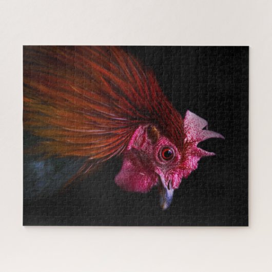 Betriebe | Rooster Head Shoot Puzzle (Horizontal)