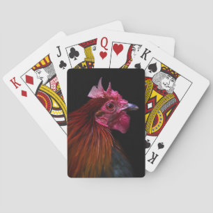 Betriebe   Rooster Head Shoot Spielkarten