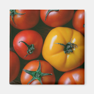 Betriebe Rote und gelbe Tomaten/Paradeiser Magnet