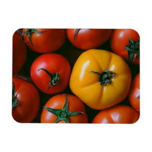 Betriebe   Rote und gelbe Tomaten/Paradeiser Magnet