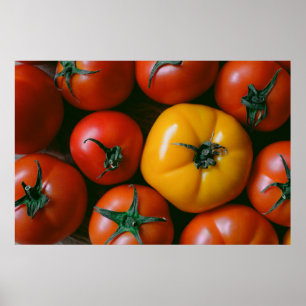 Betriebe   Rote und gelbe Tomaten/Paradeiser Poster