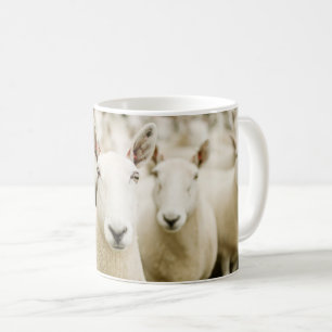 Betriebe Schafherde Kaffeetasse