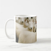Betriebe | Schafherde Kaffeetasse (Links)
