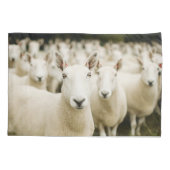 Betriebe | Schafherde Kissenbezug (Rückseite)