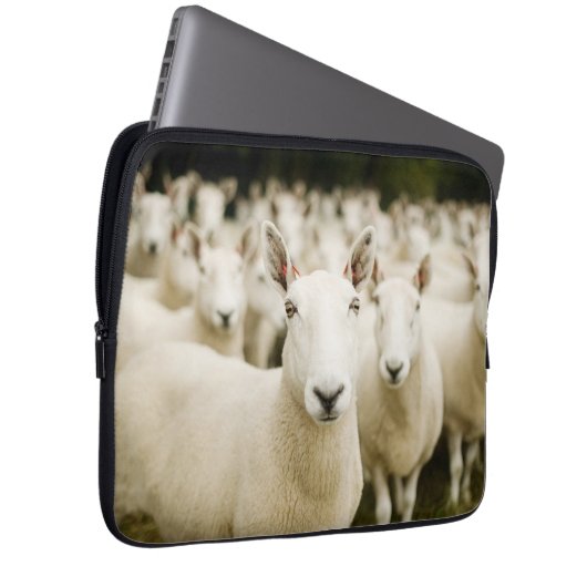 Betriebe | Schafherde Laptopschutzhülle (Vorne Rechts)