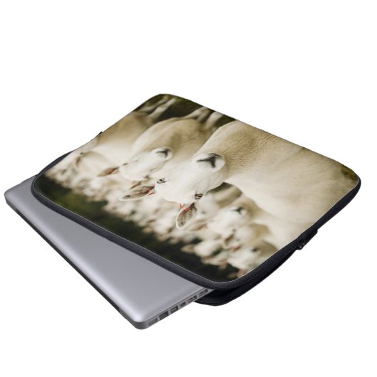 Betriebe | Schafherde Laptopschutzhülle (Vorne Knopf)