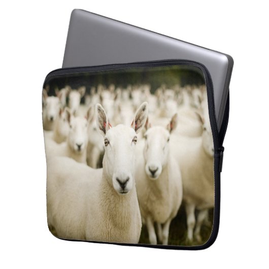 Betriebe | Schafherde Laptopschutzhülle (Vorderseite Links)