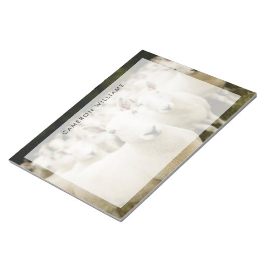 Betriebe | Schafherde Notizblock (angewinkelt)