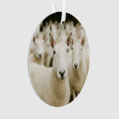 Betriebe | Schafherde Ornament (Vorderseite)