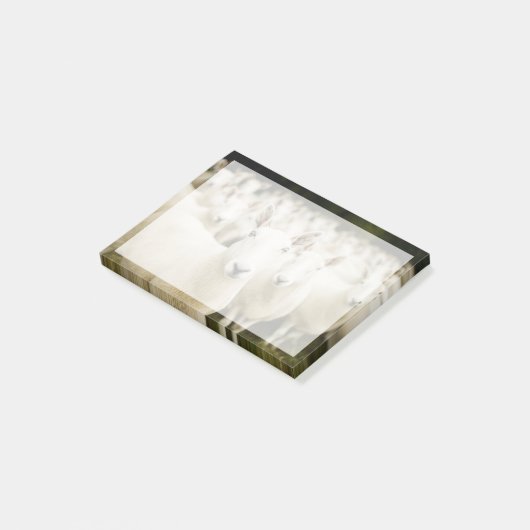 Betriebe | Schafherde Post-it Klebezettel (angewinkelt)