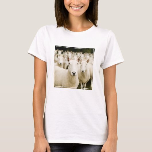 Betriebe | Schafherde T-Shirt (Vorderseite)