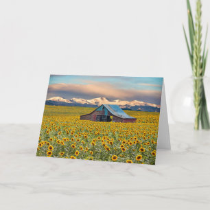 Betriebe Sonnenblumenfeld Karte