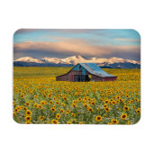 Betriebe | Sonnenblumenfeld Magnet (Horizontal)