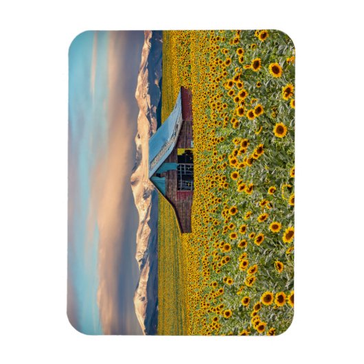 Betriebe | Sonnenblumenfeld Magnet (Vertikal)