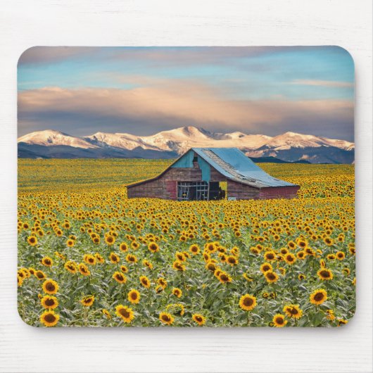 Betriebe | Sonnenblumenfeld Mousepad (Vorne)