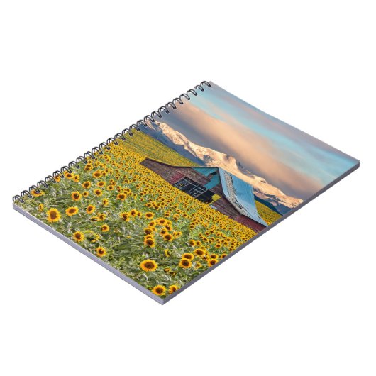 Betriebe | Sonnenblumenfeld Notizblock (Linke Seite)