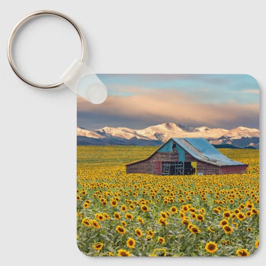 Betriebe | Sonnenblumenfeld Schlüsselanhänger (Vorderseite)