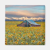 Betriebe | Sonnenblumenfeldmagnet Magnet (Vorne)