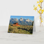 Betriebe | von schneebedeckten Bergen beschatteter Karte (Gelbe Blume)