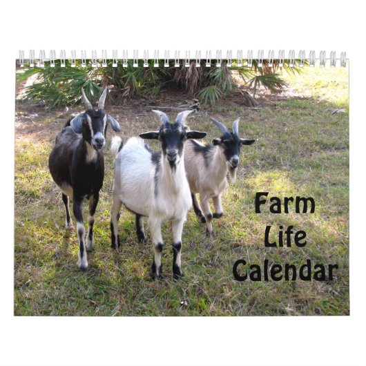 Betriebszeitplan Kalender (Titelbild)