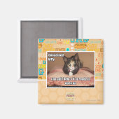Betroffene Kitty Magnet (Vorderseite/Rückseite)