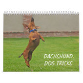 Betrügt Dackel-Hund 2012 Kalender (Titelbild)