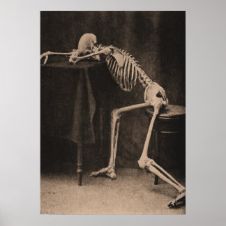 Betrunkenes Skelett Poster