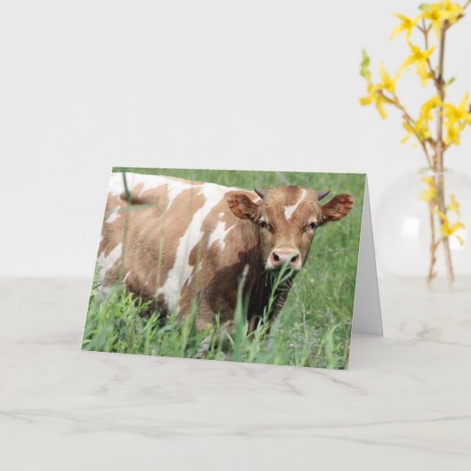 Betsy, Hallo Karte (Gelbe Blume)