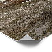 Betsy Ross Bridge Foto Poster (Ecke)