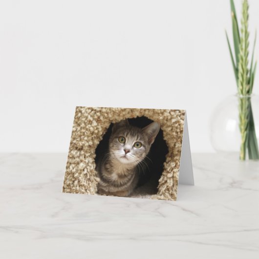 Betsy Ross Dankeskarte (Vorderseite)