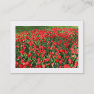 Bett aus roten Tulpen 02 (mit Rand) Visitenkarte