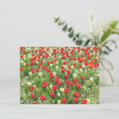 Bett von Tulips, Gärten, Cardiff, Wales. Karte (Stehend Vorderseite)