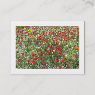 Bett von Tulips (grenzt) Visitenkarte