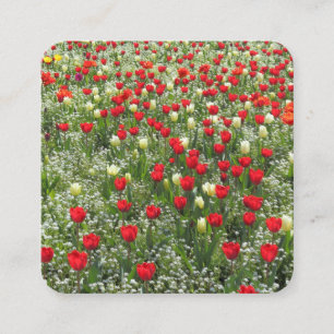 Bett von Tulips und andere Blume Quadratische Visitenkarte
