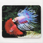 Bettaのマウスパッド,No.09 Mousepad (Vorne)