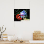 Bettaの ポ タ poster (Küche)