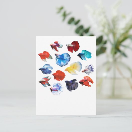 Betta 2 postkarte (Stehend Vorderseite)